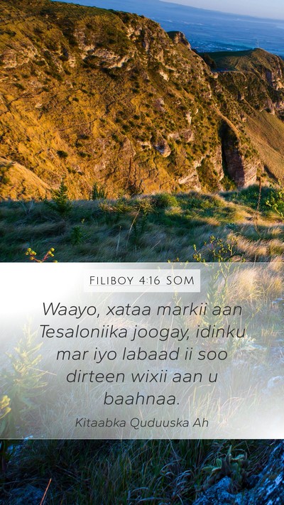 Filiboy 4:16 SOM Mobile Phone Wallpaper - Waayo, xataa markii aan Tesaloniika joogay, - Mobile Bible Verse Wallpaper