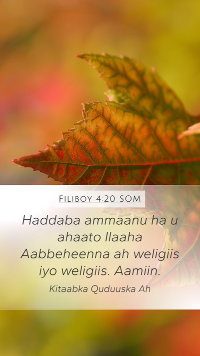 Filiboy 4:20 SOM Bible Verse Image