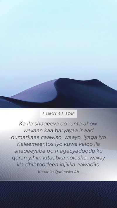 Filiboy 4:3 SOM Bible Verse Image
