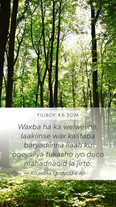 Filiboy 4:6 SOM Bible Verse Image