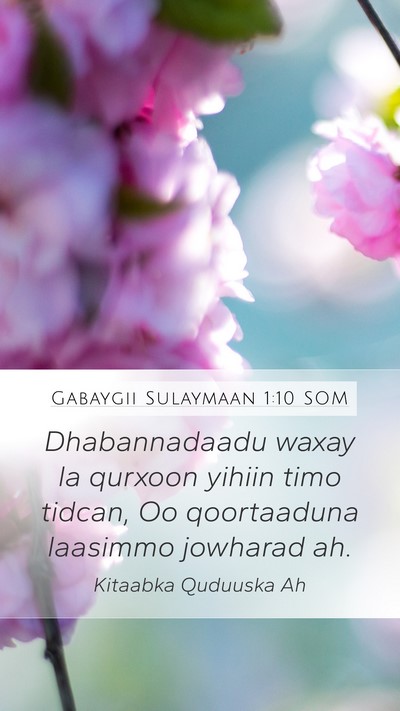 Gabaygii Sulaymaan 1:10 SOM Bible Verse Image