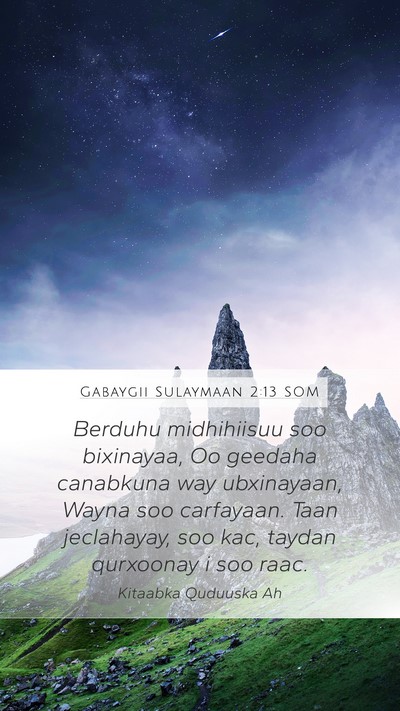 Gabaygii Sulaymaan 2:13 SOM Bible Verse Image