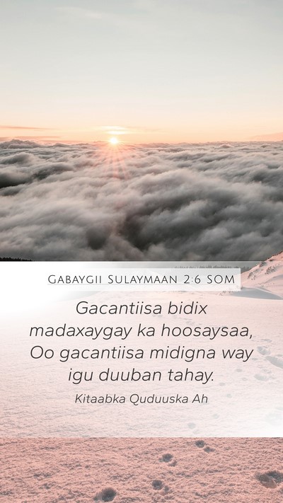 Gabaygii Sulaymaan 2:6 SOM Bible Verse Image