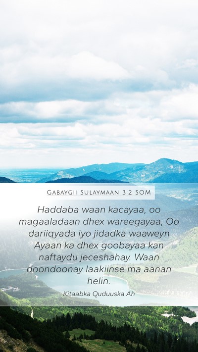 Gabaygii Sulaymaan 3:2 SOM Mobile Phone Wallpaper - Haddaba waan kacayaa, oo magaaladaan dhex - Mobile Bible Verse Wallpaper