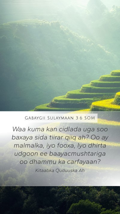 Gabaygii Sulaymaan 3:6 SOM Bible Verse Image