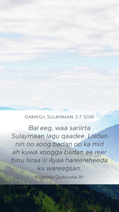 Gabaygii Sulaymaan 3:7 SOM Bible Verse Image