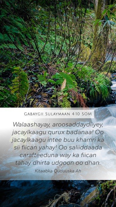 Gabaygii Sulaymaan 4:10 SOM Bible Verse Image