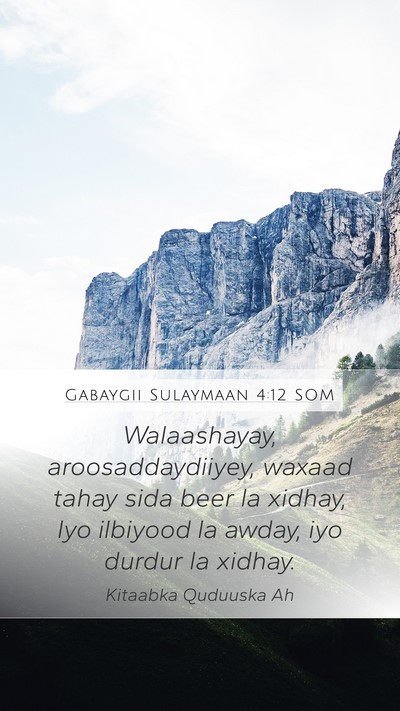 Gabaygii Sulaymaan 4:12 SOM Bible Verse Image