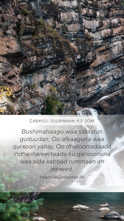 Gabaygii Sulaymaan 4:3 SOM Bible Verse Image