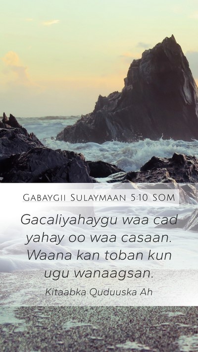 Gabaygii Sulaymaan 5:10 SOM Mobile Phone Wallpaper - Gacaliyahaygu waa cad yahay oo waa casaan. Waana - Mobile Bible Verse Wallpaper