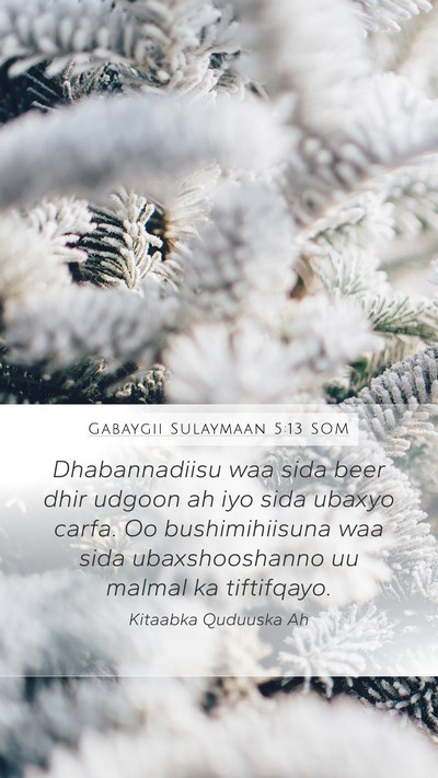 Gabaygii Sulaymaan 5:13 SOM Bible Verse Image