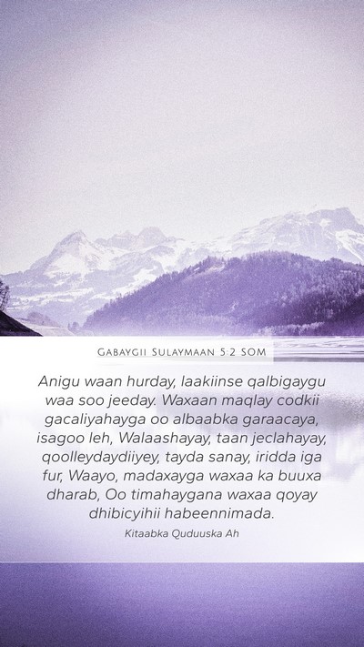 Gabaygii Sulaymaan 5:2 SOM Bible Verse Image