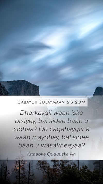 Gabaygii Sulaymaan 5:3 SOM Mobile Phone Wallpaper - Dharkaygii waan iska bixiyey, bal sidee baan u - Mobile Bible Verse Wallpaper