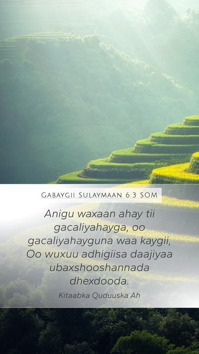 Gabaygii Sulaymaan 6:3 SOM Bible Verse Image