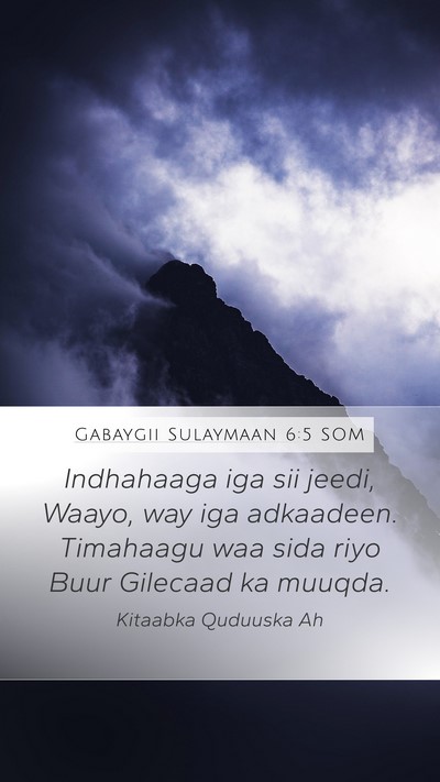 Gabaygii Sulaymaan 6:5 SOM Bible Verse Image