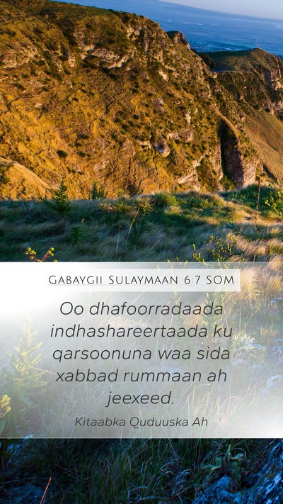 Gabaygii Sulaymaan 6:7 SOM Bible Verse Image