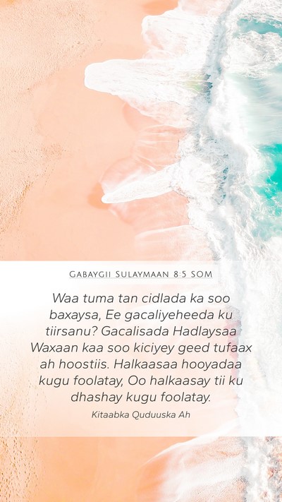 Gabaygii Sulaymaan 8:5 SOM Mobile Phone Wallpaper - Waa tuma tan cidlada ka soo baxaysa, Ee - Mobile Bible Verse Wallpaper