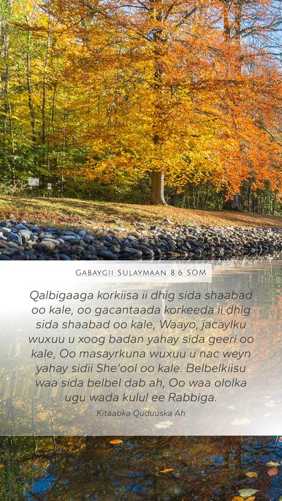 Gabaygii Sulaymaan 8:6 SOM Bible Verse Image