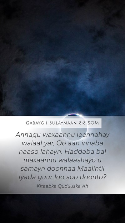 Gabaygii Sulaymaan 8:8 SOM Bible Verse Image
