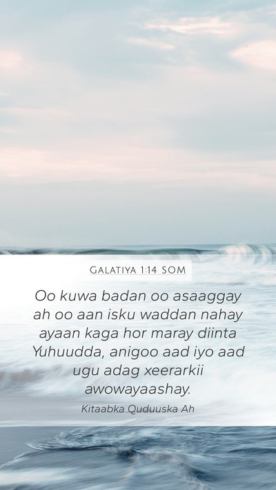 Galatiya 1:14 SOM Bible Verse Image