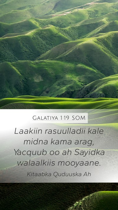 Galatiya 1:19 SOM Bible Verse Image
