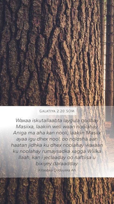 Galatiya 2:20 SOM Bible Verse Image