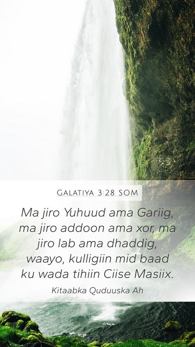Galatiya 3:28 SOM Bible Verse Image
