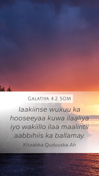 Galatiya 4:2 SOM Bible Verse Image
