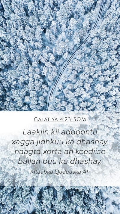 Galatiya 4:23 SOM Bible Verse Image