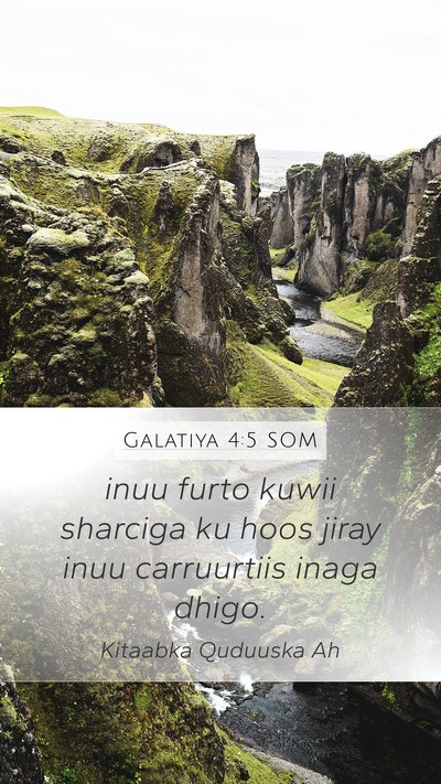 Galatiya 4:5 SOM Bible Verse Image