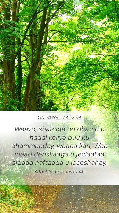 Galatiya 5:14 SOM Bible Verse Image