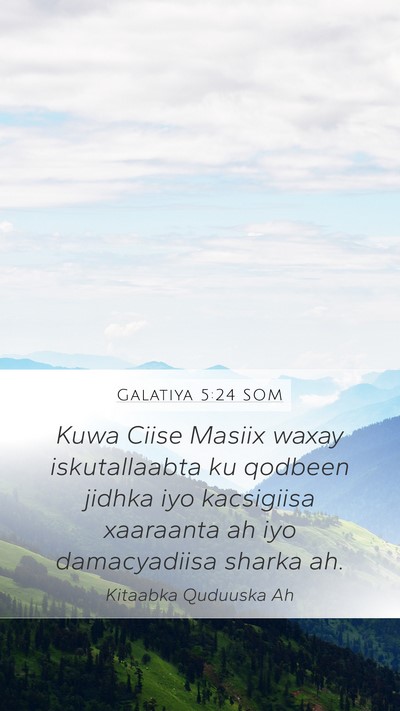 Galatiya 5:24 SOM Bible Verse Image