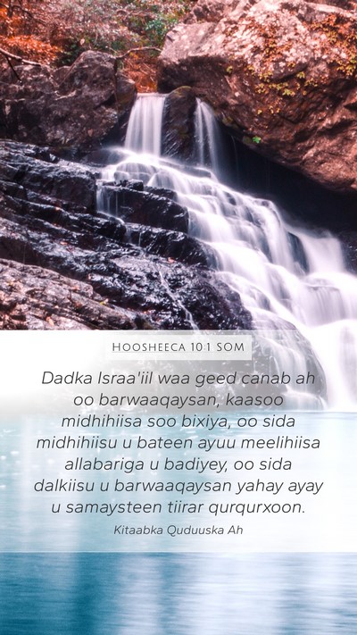 Hoosheeca 10:1 SOM Bible Verse Image