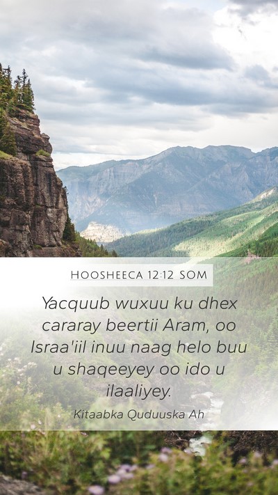 Hoosheeca 12:12 SOM Bible Verse Image