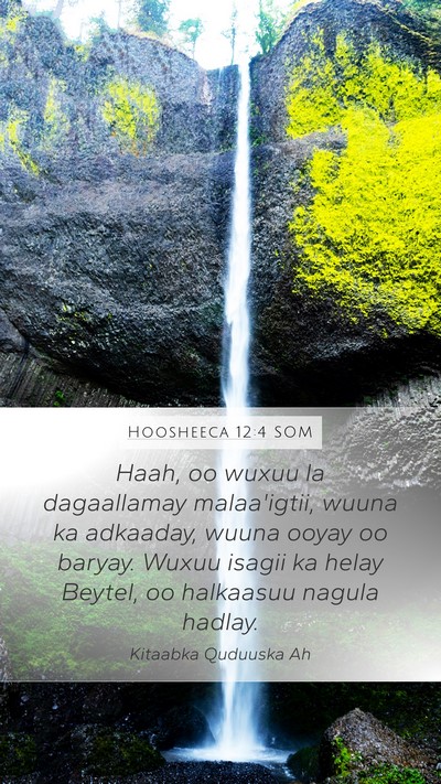Hoosheeca 12:4 SOM Bible Verse Image