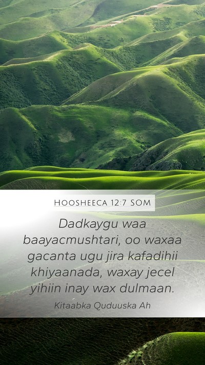 Hoosheeca 12:7 SOM Bible Verse Image