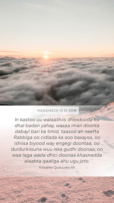 Hoosheeca 13:15 SOM Bible Verse Image