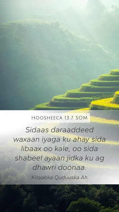 Hoosheeca 13:7 SOM Bible Verse Image