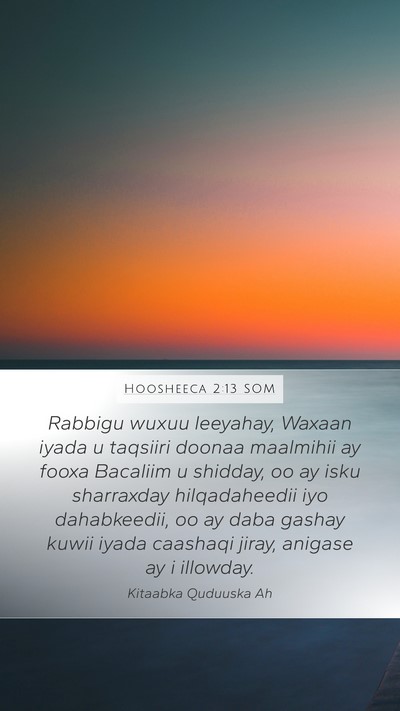 Hoosheeca 2:13 SOM Bible Verse Image