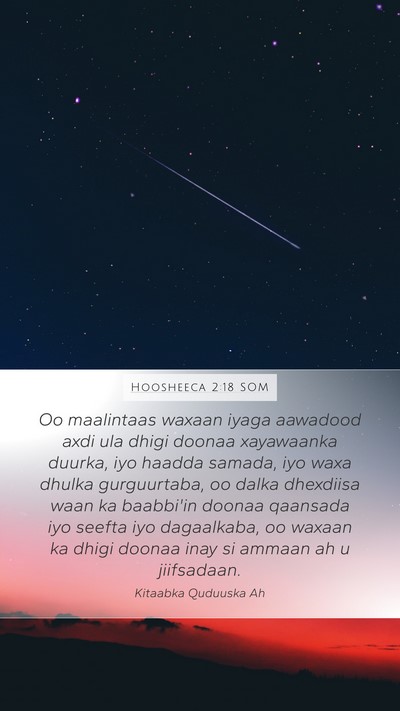 Hoosheeca 2:18 SOM Bible Verse Image