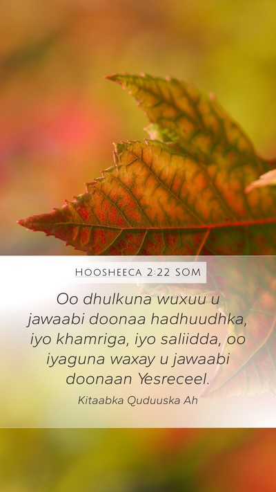 Hoosheeca 2:22 SOM Bible Verse Image