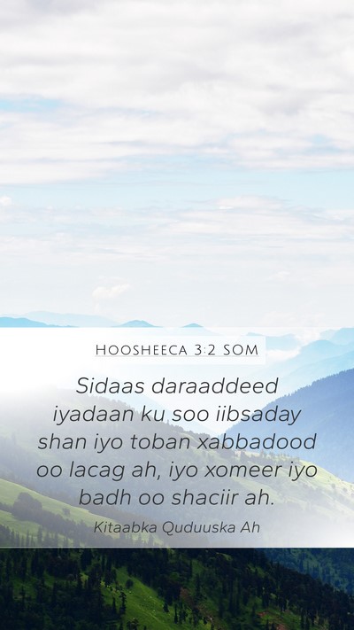 Hoosheeca 3:2 SOM Bible Verse Image