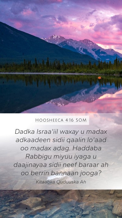Hoosheeca 4:16 SOM Bible Verse Image