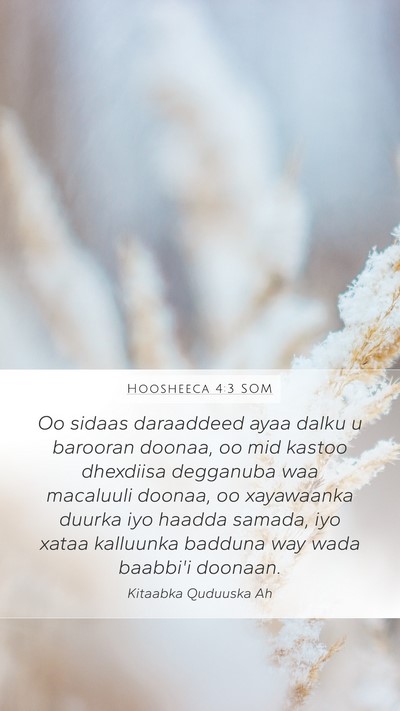 Hoosheeca 4:3 SOM Bible Verse Image