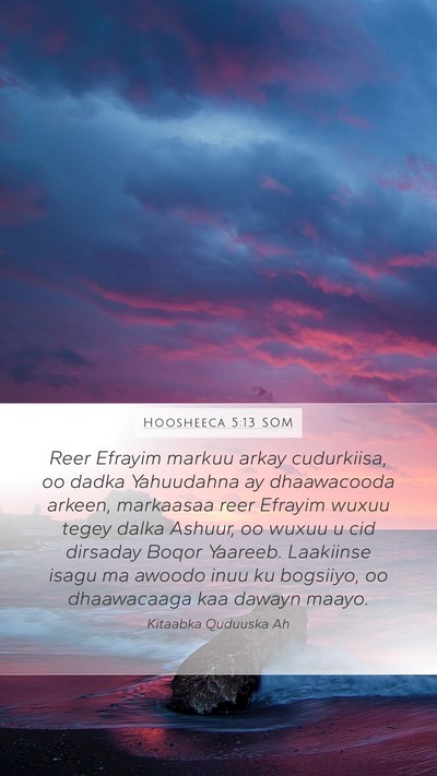 Hoosheeca 5:13 SOM Bible Verse Image