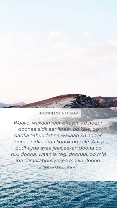 Hoosheeca 5:14 SOM Bible Verse Image