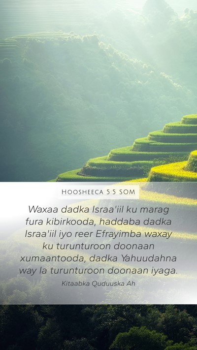 Hoosheeca 5:5 SOM Bible Verse Image