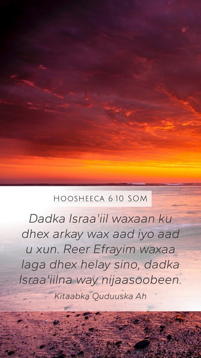 Hoosheeca 6:10 SOM Bible Verse Image
