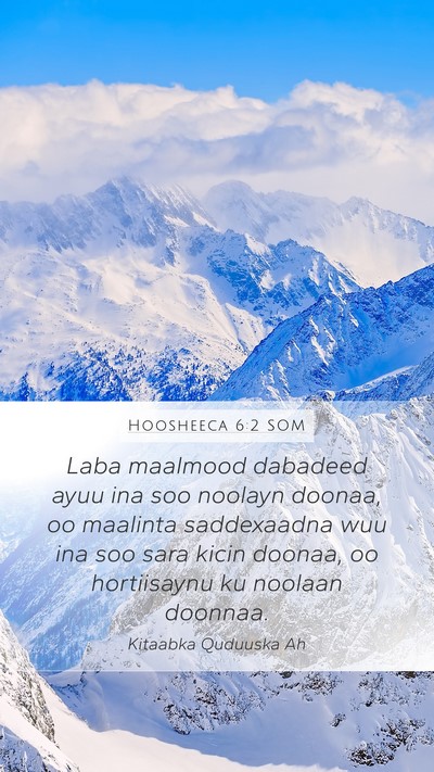 Hoosheeca 6:2 SOM Bible Verse Image