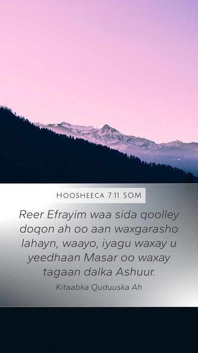Hoosheeca 7:11 SOM Bible Verse Image